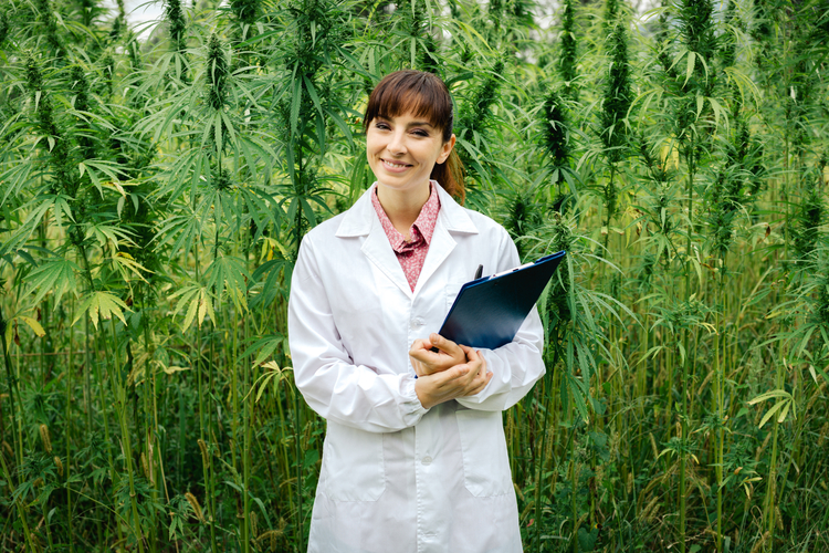 researcher in front of cannabis plants